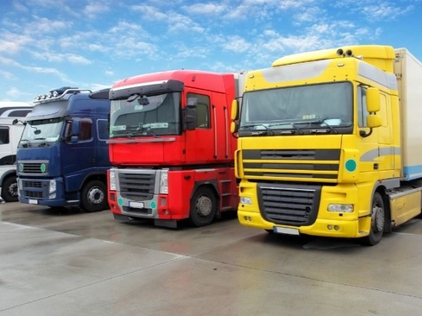 Antalya Vize Nakliye